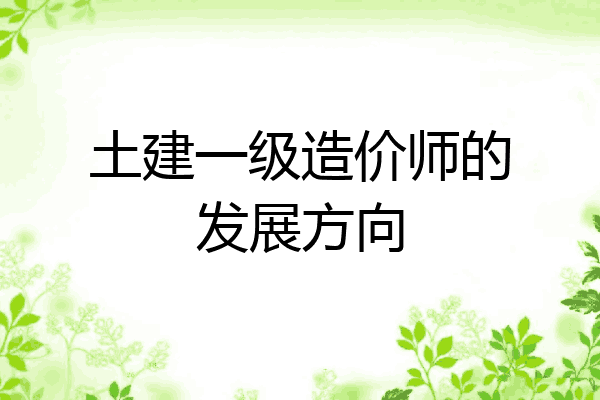 土建一级造价师的发展方向