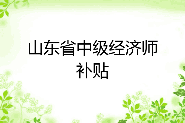 山东省中级经济师补贴