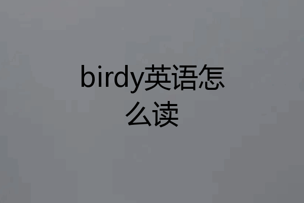 birdy英语怎么读