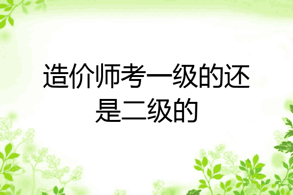 造价师考一级的还是二级的