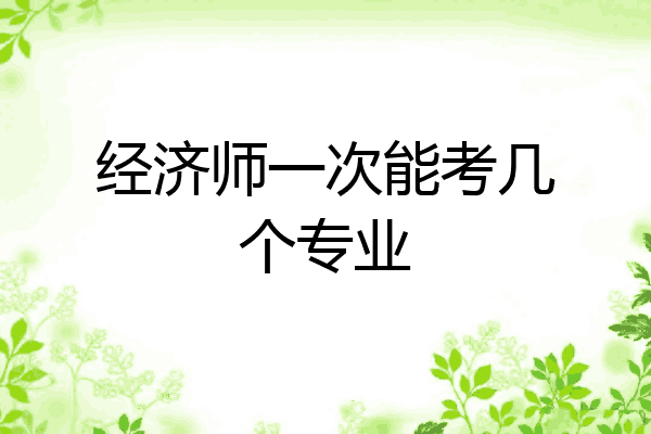 经济师一次能考几个专业