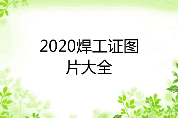 2020焊工证图片大全