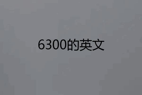 6300的英文