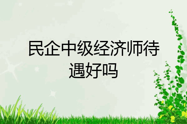 民企中级经济师待遇好吗