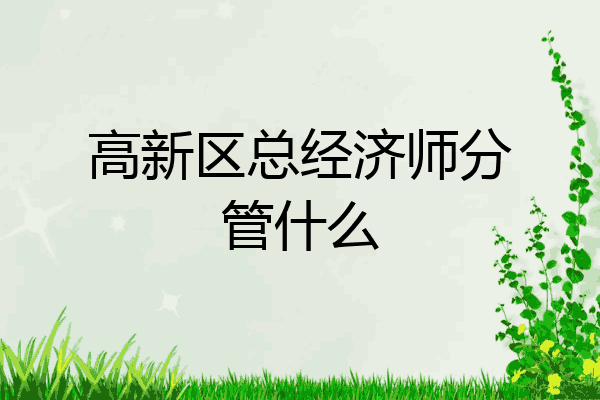 高新区总经济师分管什么