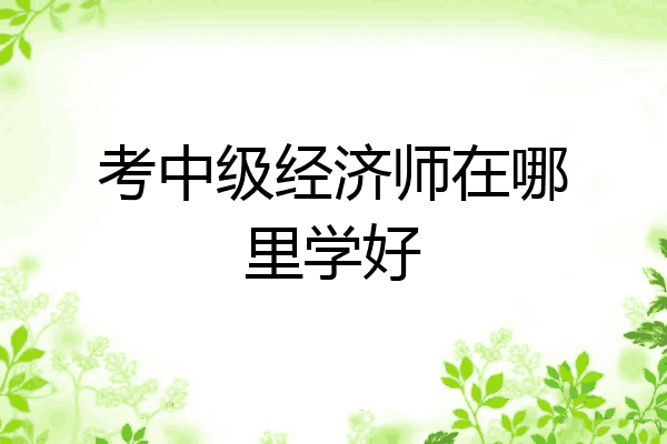 考中级经济师在哪里学好