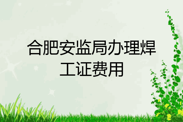 合肥安监局办理焊工证费用