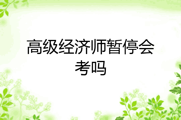 高级经济师暂停会考吗