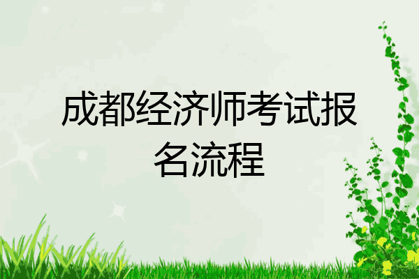 成都经济师考试报名流程