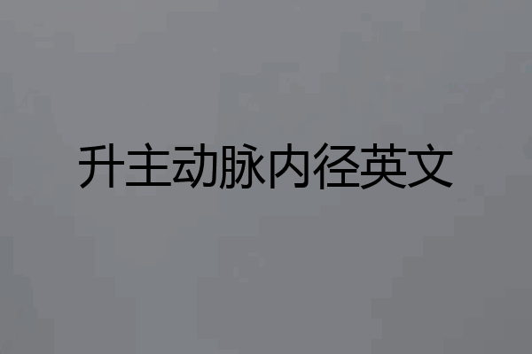 升主动脉内径英文