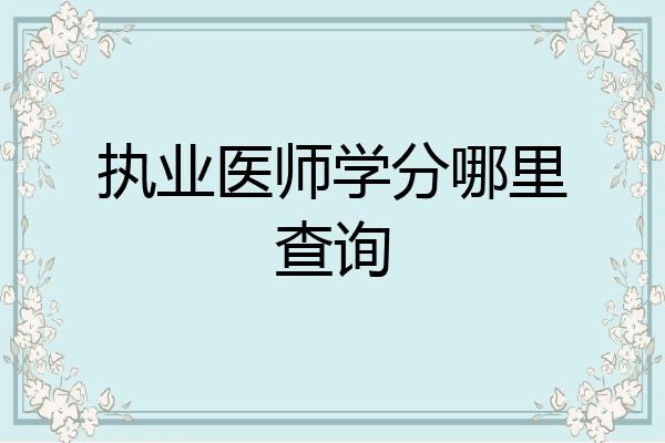 执业医师学分哪里查询
