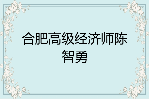 合肥高级经济师陈智勇