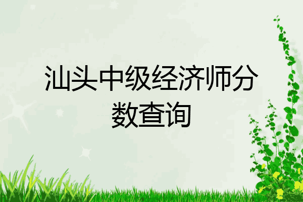 汕头中级经济师分数查询