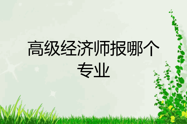 高级经济师报哪个专业