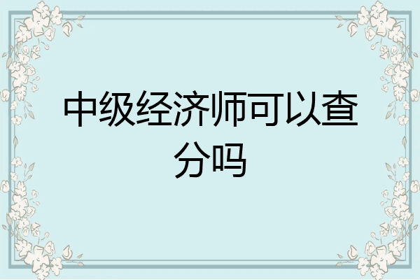 中级经济师可以查分吗