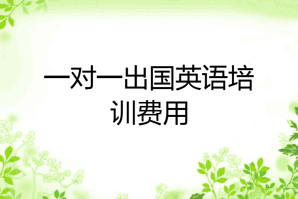一对一出国英语培训费用