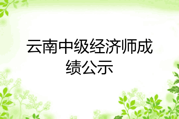 云南中级经济师成绩公示