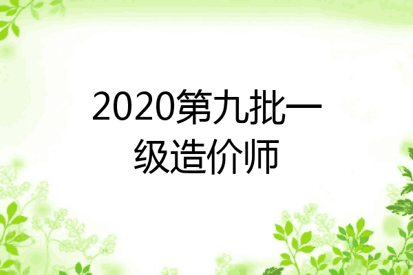 2020第九批一级造价师