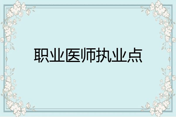 职业医师执业点