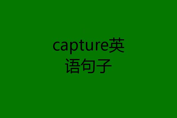 capture英语句子