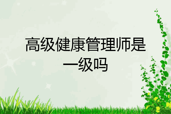 高级健康管理师是一级吗