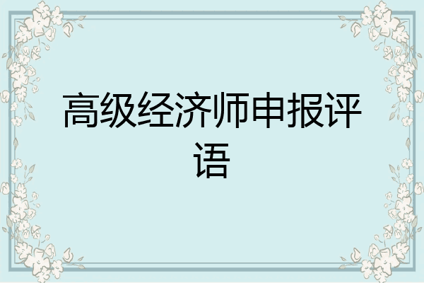 高级经济师申报评语
