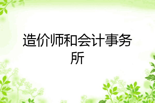 造价师和会计事务所