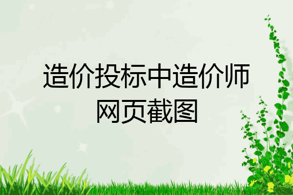 造价投标中造价师网页截图