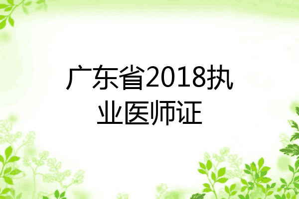 广东省2018执业医师证