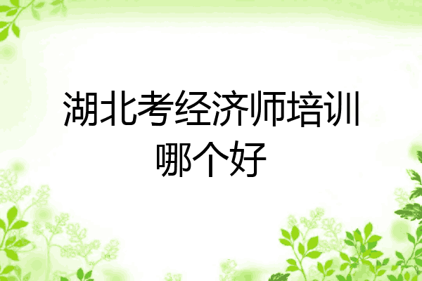 湖北考经济师培训哪个好