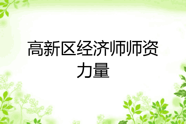 高新区经济师师资力量