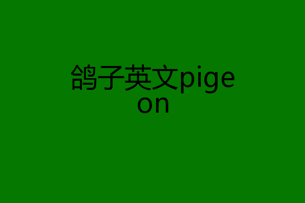鸽子英文pigeon