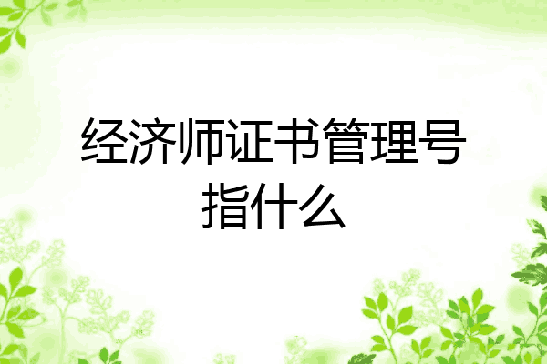 经济师证书管理号指什么