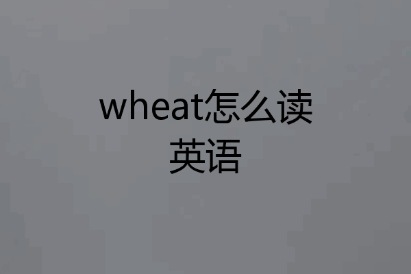 wheat怎么读英语