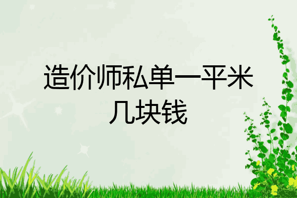 造价师私单一平米几块钱