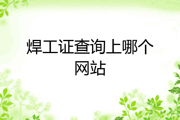 焊工证查询上哪个网站