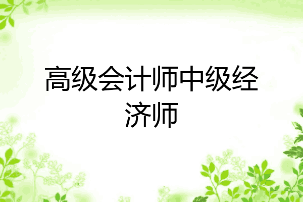 高级会计师中级经济师