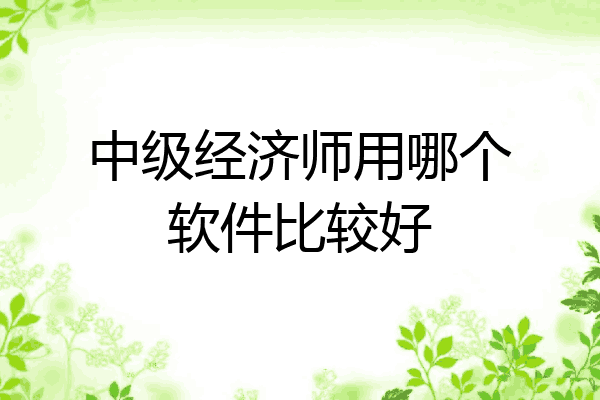 中级经济师用哪个软件比较好