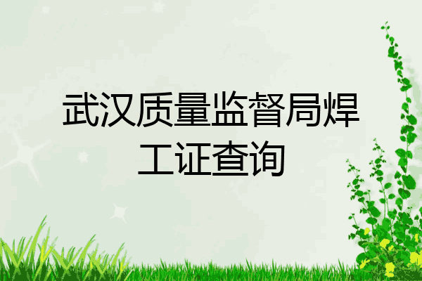 武汉质量监督局焊工证查询