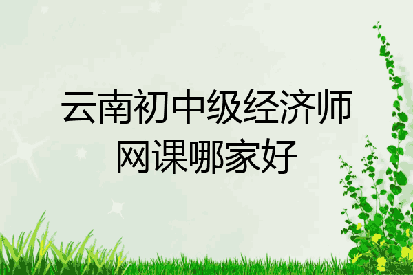 云南初中级经济师网课哪家好