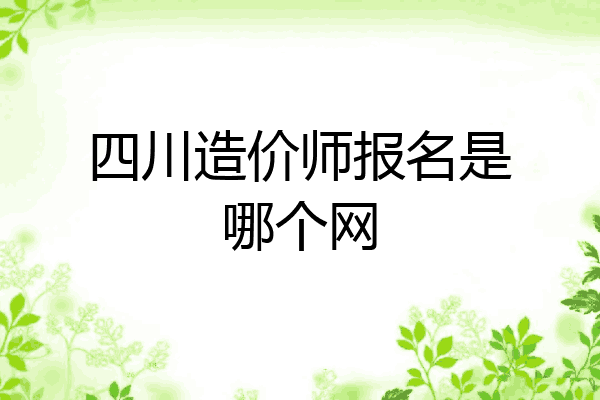 四川造价师报名是哪个网
