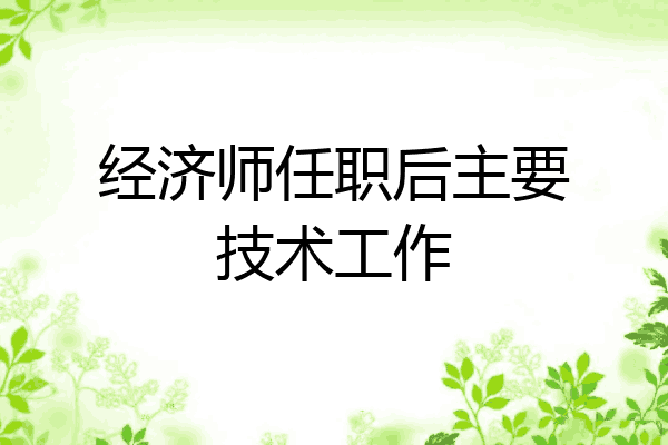 经济师任职后主要技术工作