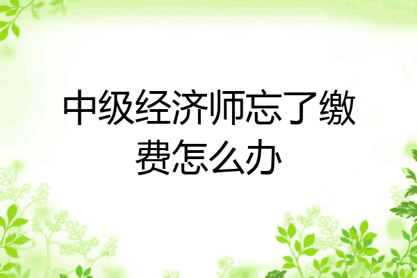 中级经济师忘了缴费怎么办