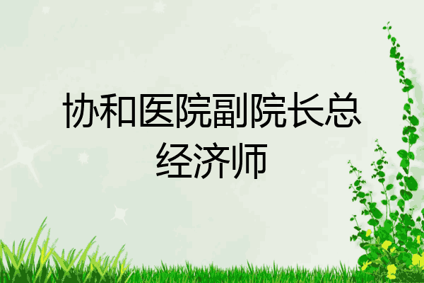 协和医院副院长总经济师