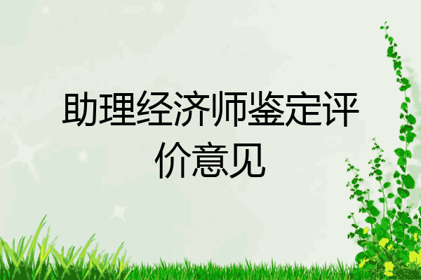 助理经济师鉴定评价意见