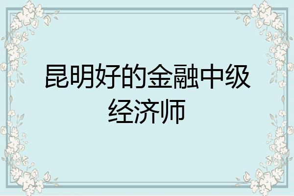 昆明好的金融中级经济师