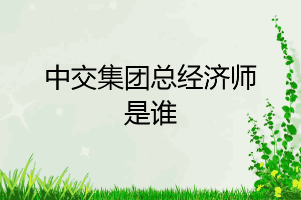 中交集团总经济师是谁