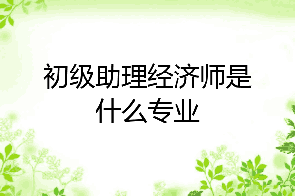初级助理经济师是什么专业