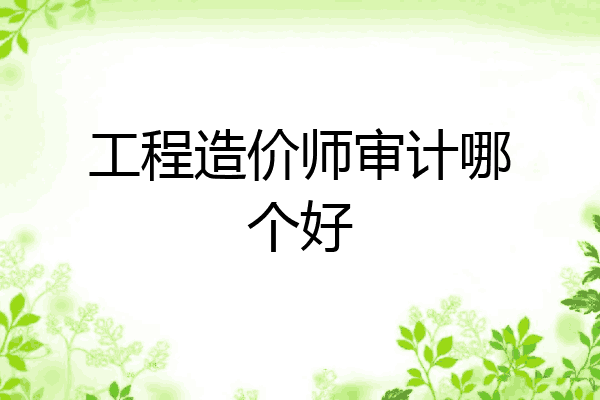 工程造价师审计哪个好