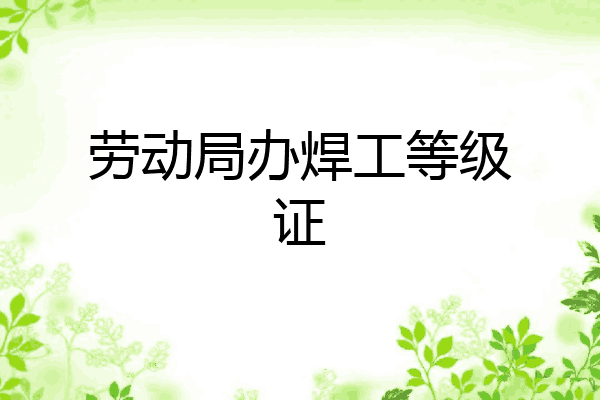 劳动局办焊工等级证
